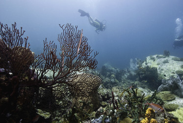 Similar image 7976311