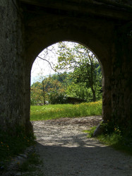 Similar image 7976315