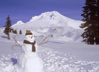 Similar image 7976317