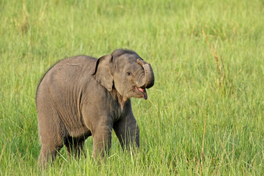 Similar image 7976321