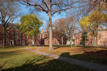 Similar image 7976322