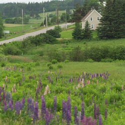 Similar image 7976337