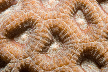 Similar image 7976338