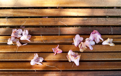 Similar image 7976341