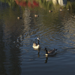 Similar image 7976342