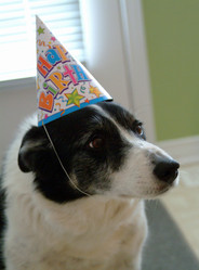 Similar image 7976347