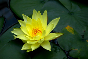 Similar image 7976354