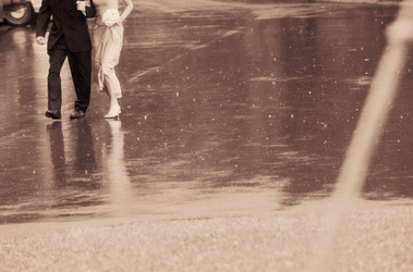 Similar image 7976359