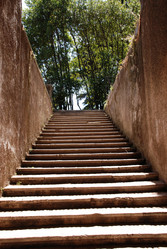 Similar image 7976360