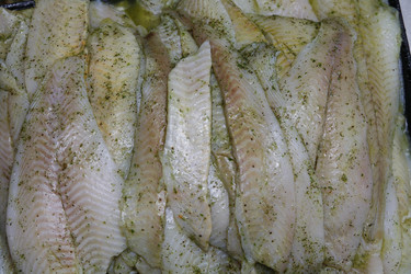 Similar image 7976373