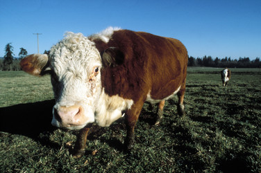 Similar image 7976377