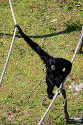 Similar image 7976380