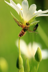 Similar image 7976384