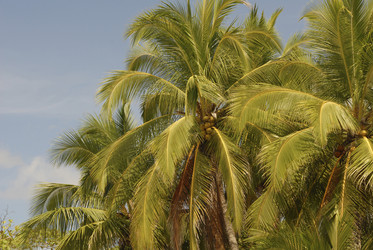 Similar image 7976387