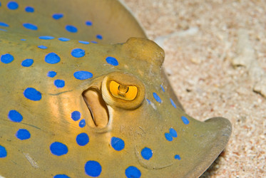 Similar image 7976393