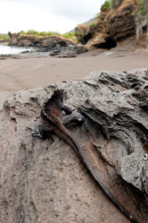 Similar image 7976404