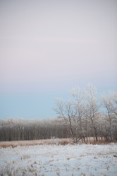 Similar image 7976414