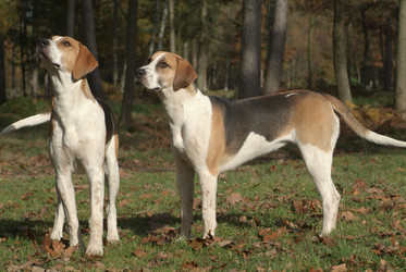 Similar image 7976421