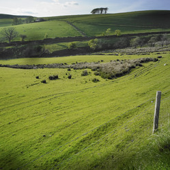 Similar image 7976430