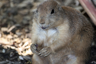 Similar image 7976431