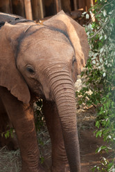 Similar image 7976435