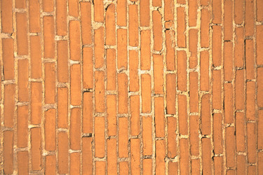 Similar image 7976441