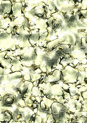 Similar image 7976443