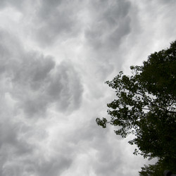 Similar image 7976447