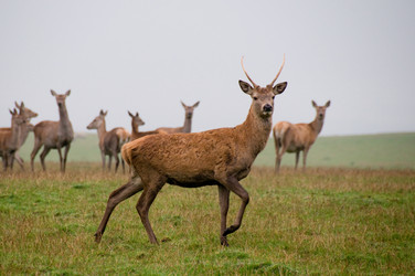 Similar image 7976448