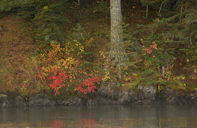 Similar image 7976450