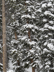 Similar image 7976458