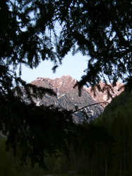 Similar image 7976459