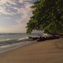 Similar image 7976467