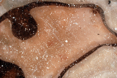 Similar image 7976468