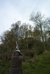 Similar image 7976476