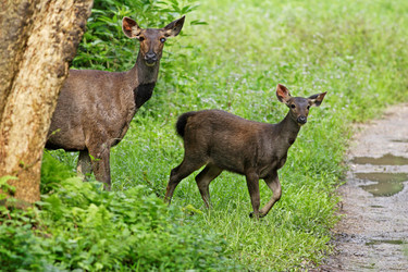 Similar image 7976496