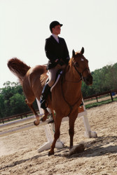 Similar image 7976501