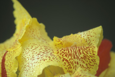 Similar image 7976506