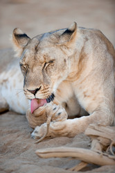 Similar image 7976509