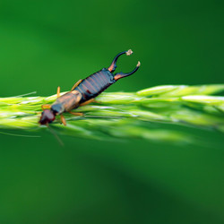 Similar image 7976515