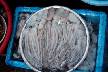 Similar image 7976516