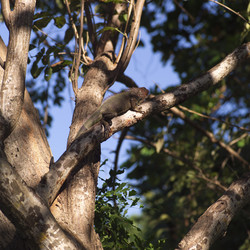 Similar image 7976518