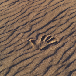 Similar image 7976519