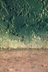 Similar image 7976520