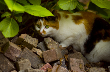 Similar image 7976528