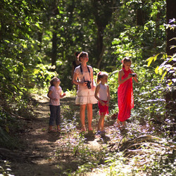 Similar image 7976535