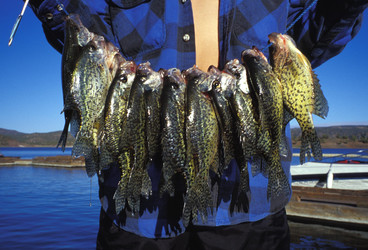 Similar image 7976539