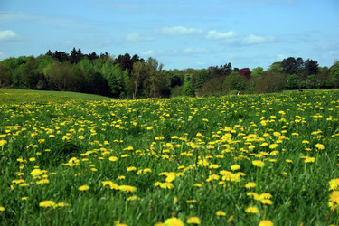 Similar image 7976550