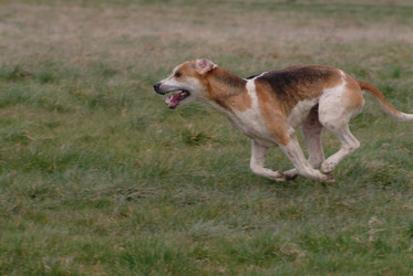 Similar image 7976554