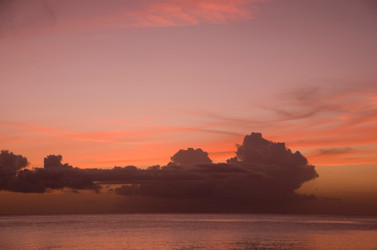 Similar image 7976556